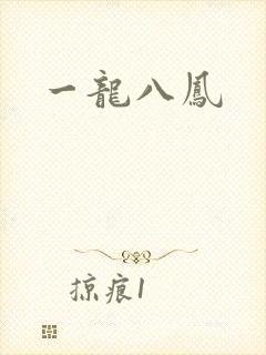 一龙八凤