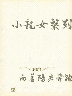 小龙女系列小说