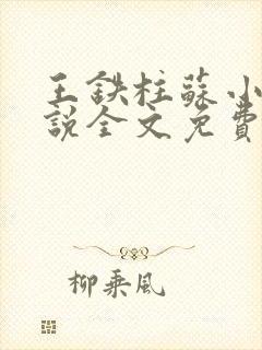 王铁柱苏小汐小说全文免费阅读最新章节