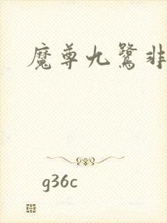 魔尊九鹭非香