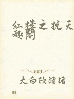 红楼之挽天倾笔趣阁