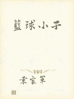 篮球小子