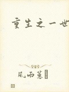 重生之一世枭雄