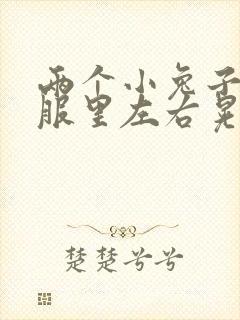 两个小兔子在衣服里左右晃