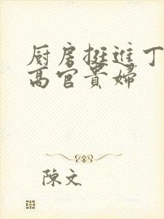 厨房挺进丁字裤高官贵妇