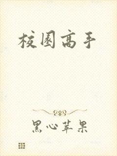 校园高手