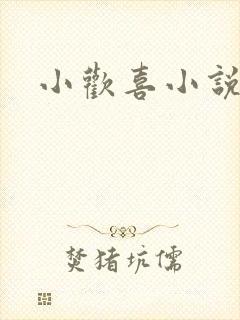 小欢喜小说
