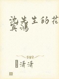 沈先生的花式调冥鸿