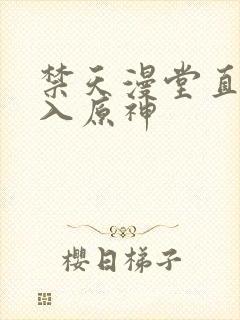 禁天漫堂直接进入原神