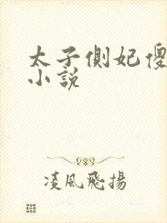 太子侧妃傻乎乎小说