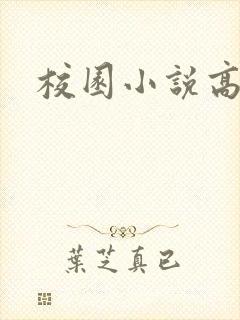 校园小说高h