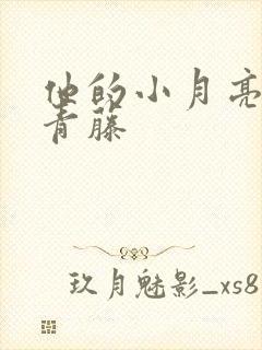 他的小月亮by青藤