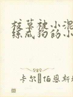 校草被小混混训练成狗的小说