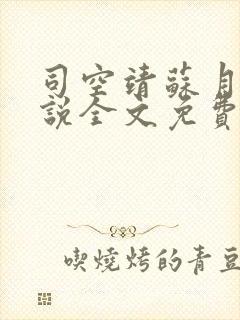 司空靖苏月汐小说全文免费阅读