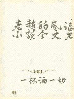 老赵的风流人生小说全文免费阅读