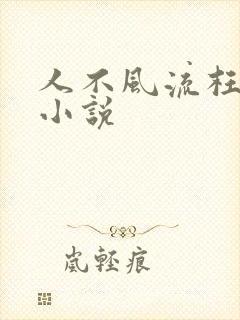 人不风流枉少年小说