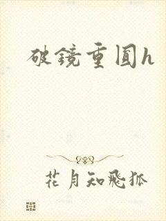 破镜重圆h