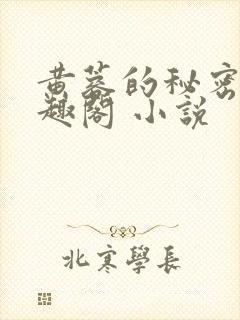 黄蓉的秘密 笔趣阁 小说