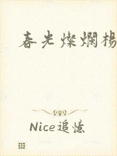 春光灿烂杨家将