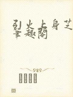 引火上身芝麻糖笔趣阁