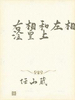 右相和左相一起淦皇上
