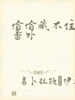 偷偷藏不住新婚番外