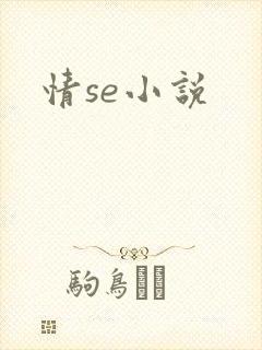 情se小说