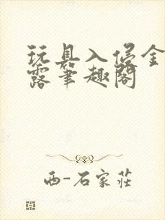 玩具入侵金银花露笔趣阁