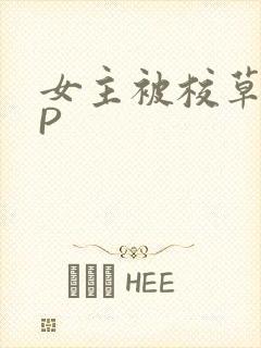 女主被校草们NP