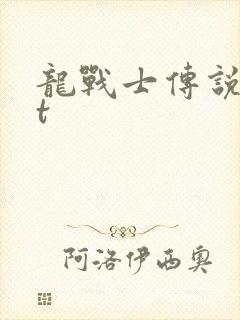 龙战士传说txt