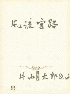 风流官路