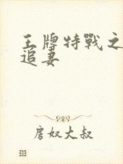 王牌特战之军少追妻