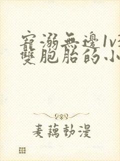 宠溺无边1v3双胞胎的小说