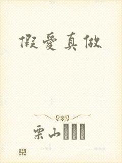 假爱真做