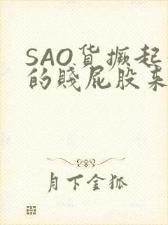 SAO货撅起你的贱屁股来