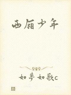 西厢少年