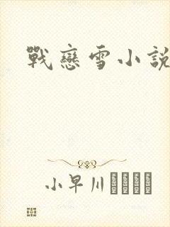 战恋雪小说