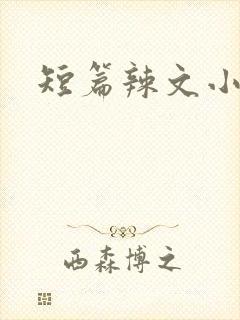 短篇辣文小说
