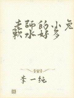 老师的小兔子好软水好多