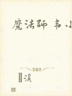 魔法师 韦小宝