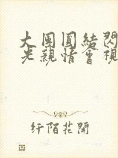 大团圆结闪闪发光亲情会视频