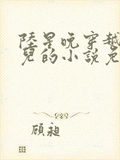 陆星晚穿越成婴儿的小说免费阅读全文