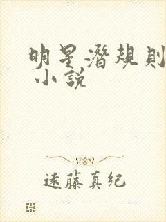 明星潜规则之皇 小说