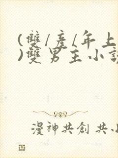 (双/产/年上)双男主小说