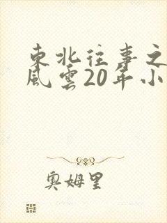 东北往事之黑道风云20年小说