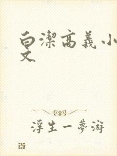 白洁高义小说全文