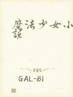 魔法少女小圆小说