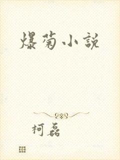 爆菊小说