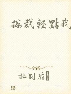 总裁轻点我怕疼