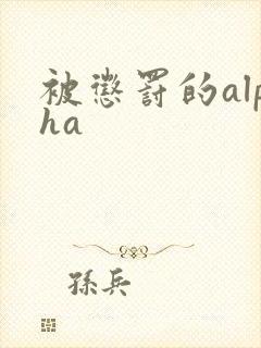 被惩罚的alpha